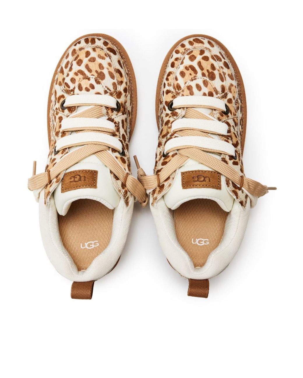 Ugg Brown Logo Low-Top Sneakers