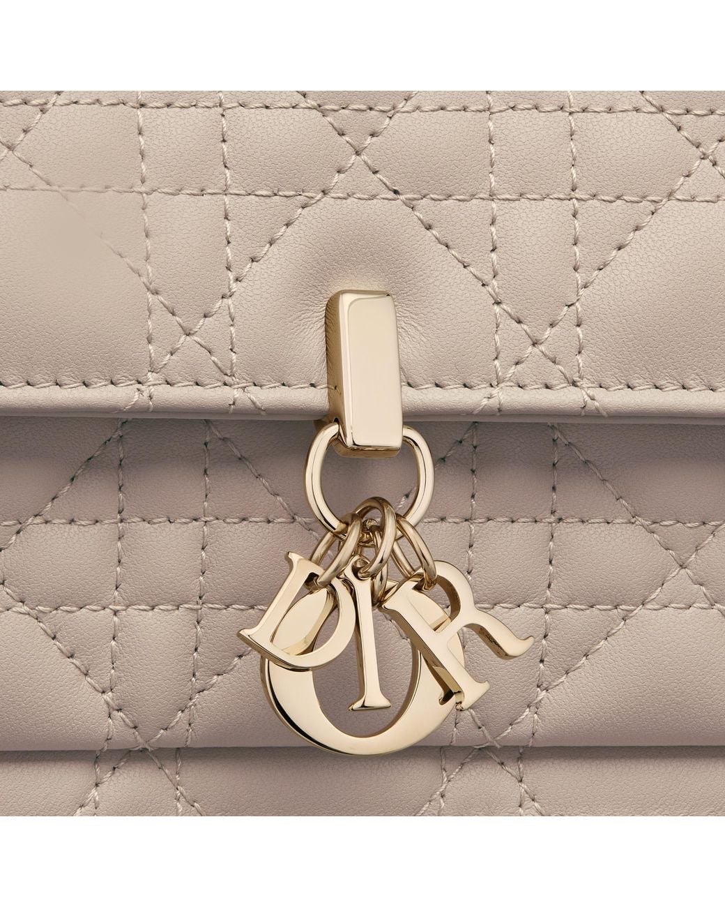 Dior Natural My Daily Pouch With Chain