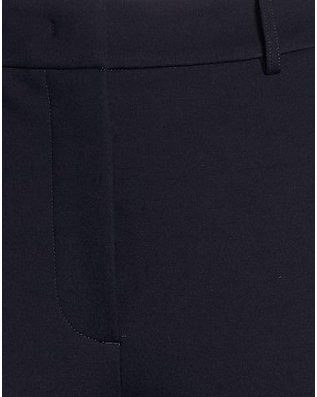 Max Mara Blue Minimalist Tapered Trousers