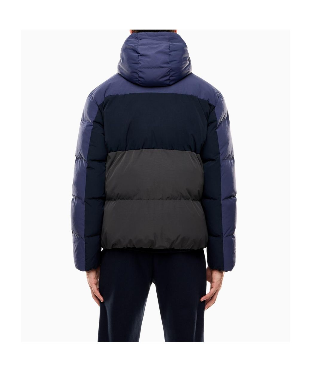 EA7 Blue Athletic Colour Block Jacket for men