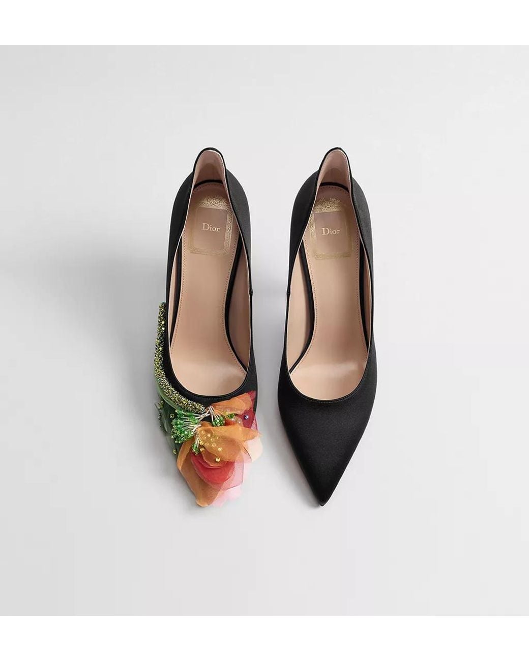 Dior Multicolor Wing Pump