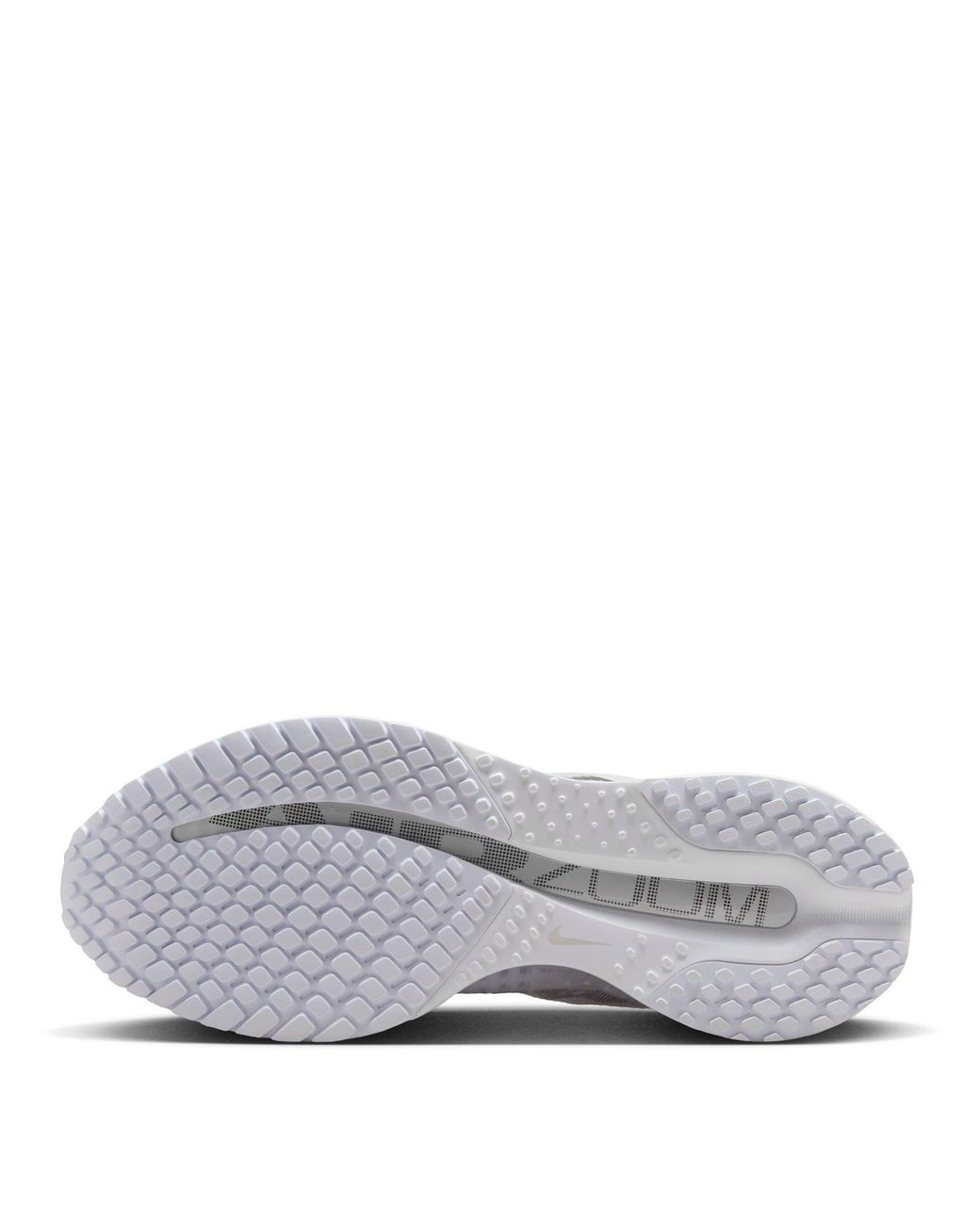 Nike Gray Pegasus Premium Trainers