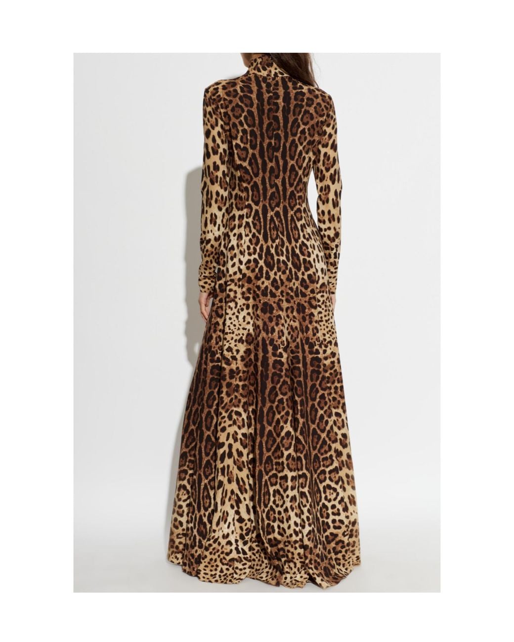 Dolce & Gabbana Brown Animal-Print Maxi Dress