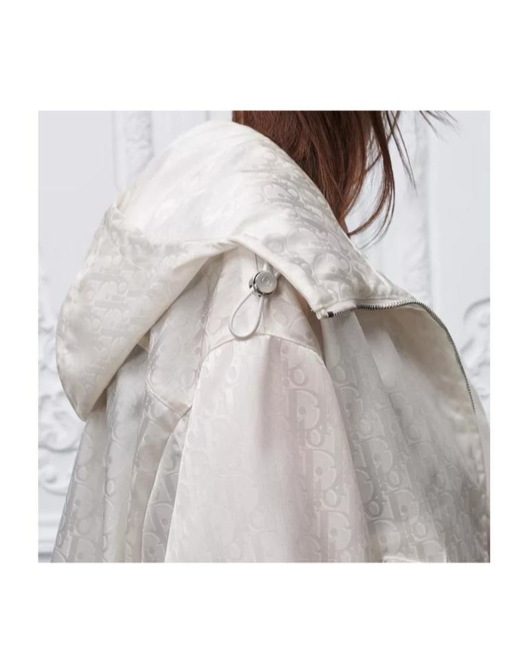 Dior Natural Zipped Jacket With Hood
