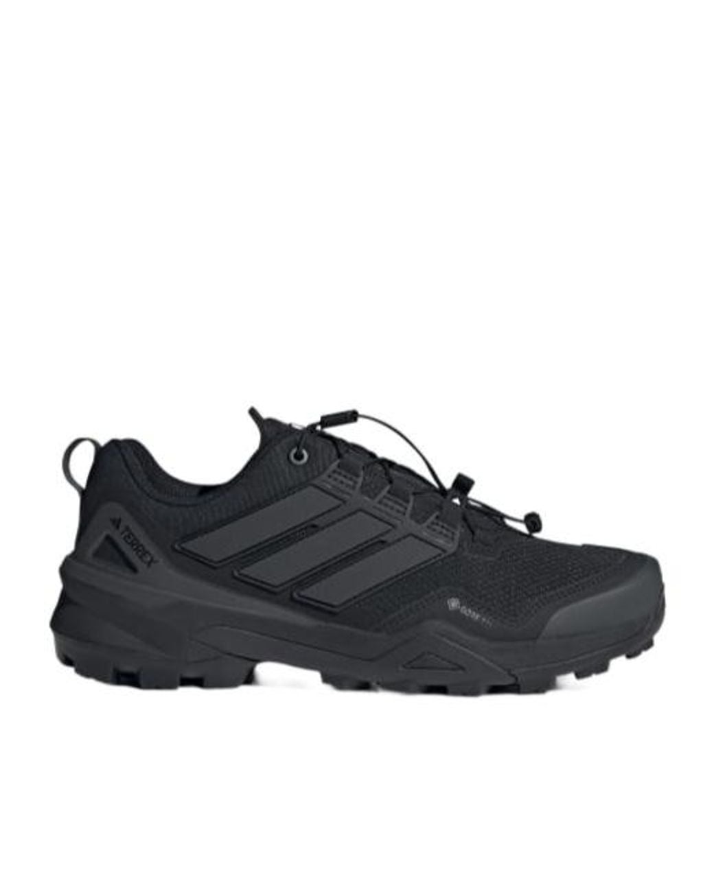 Adidas Originals Black Adidas Terrex Skychaser Gore-Tex Hiking Shoes for men