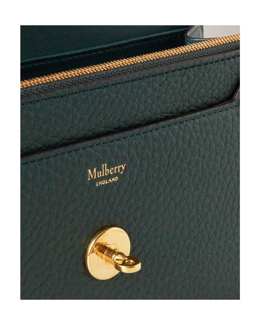 Mulberry Green Darley Chain-Linked Crossbody Bag