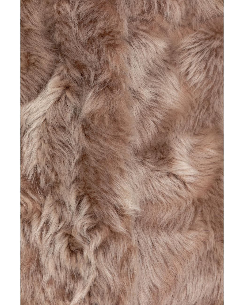 Dolce & Gabbana Brown Sleeveless Coat