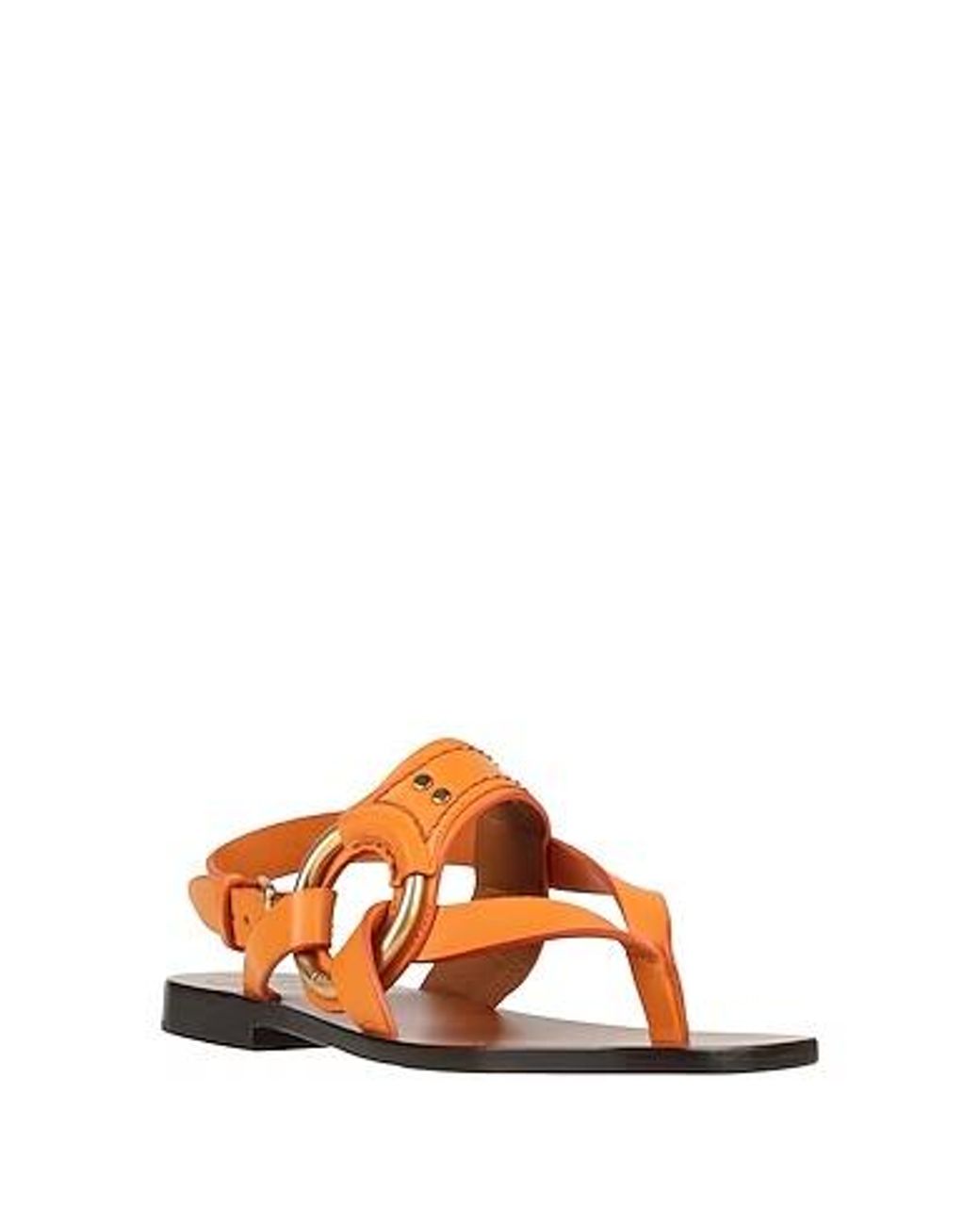 Chloé Brown Minimal Leather Sandals