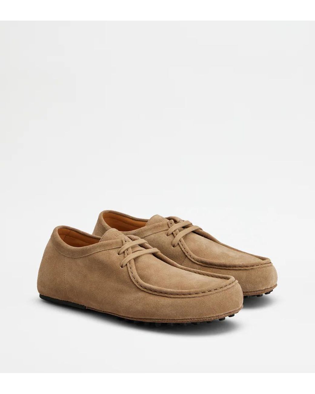 Tod's Brown Lace-Up Derby Shoes for men