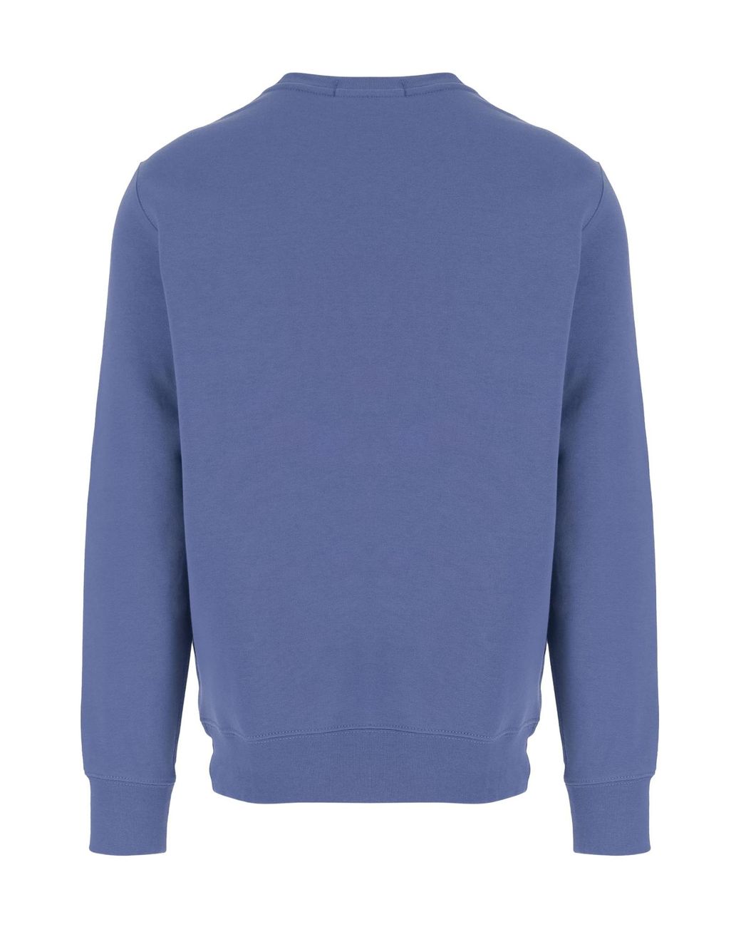 Polo Ralph Lauren Blue Polo Bear Print Sweatshirt for men