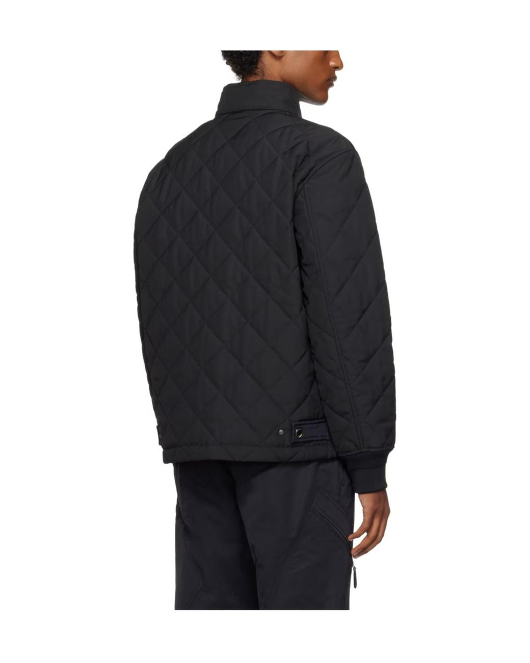 Burberry Blue Radley Cotton Clothes for men