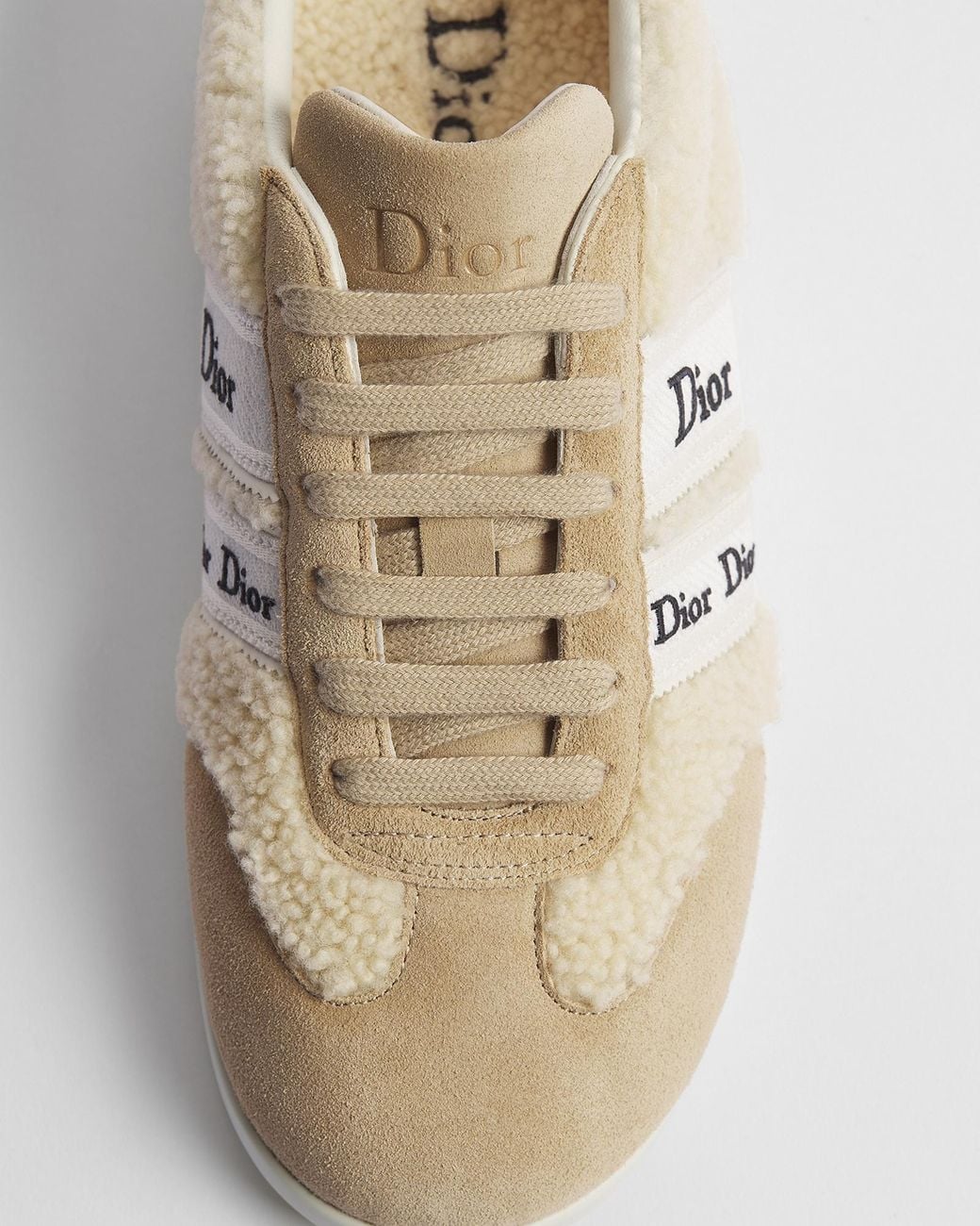 Dior Multicolor Alps Ribbon Sneaker