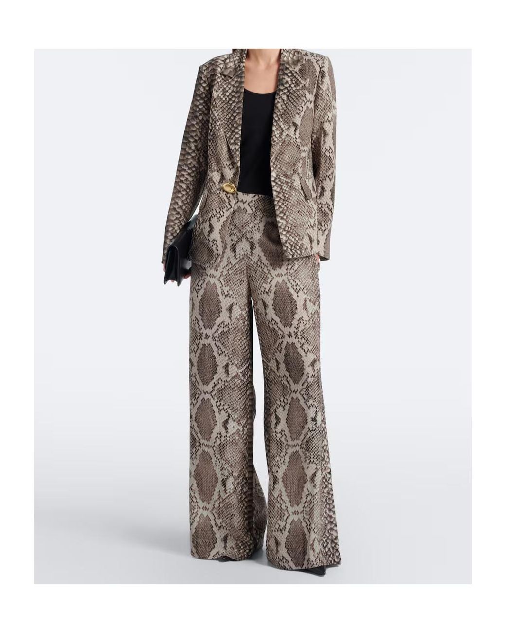 Joseph Brown Single-Breasted Blazer