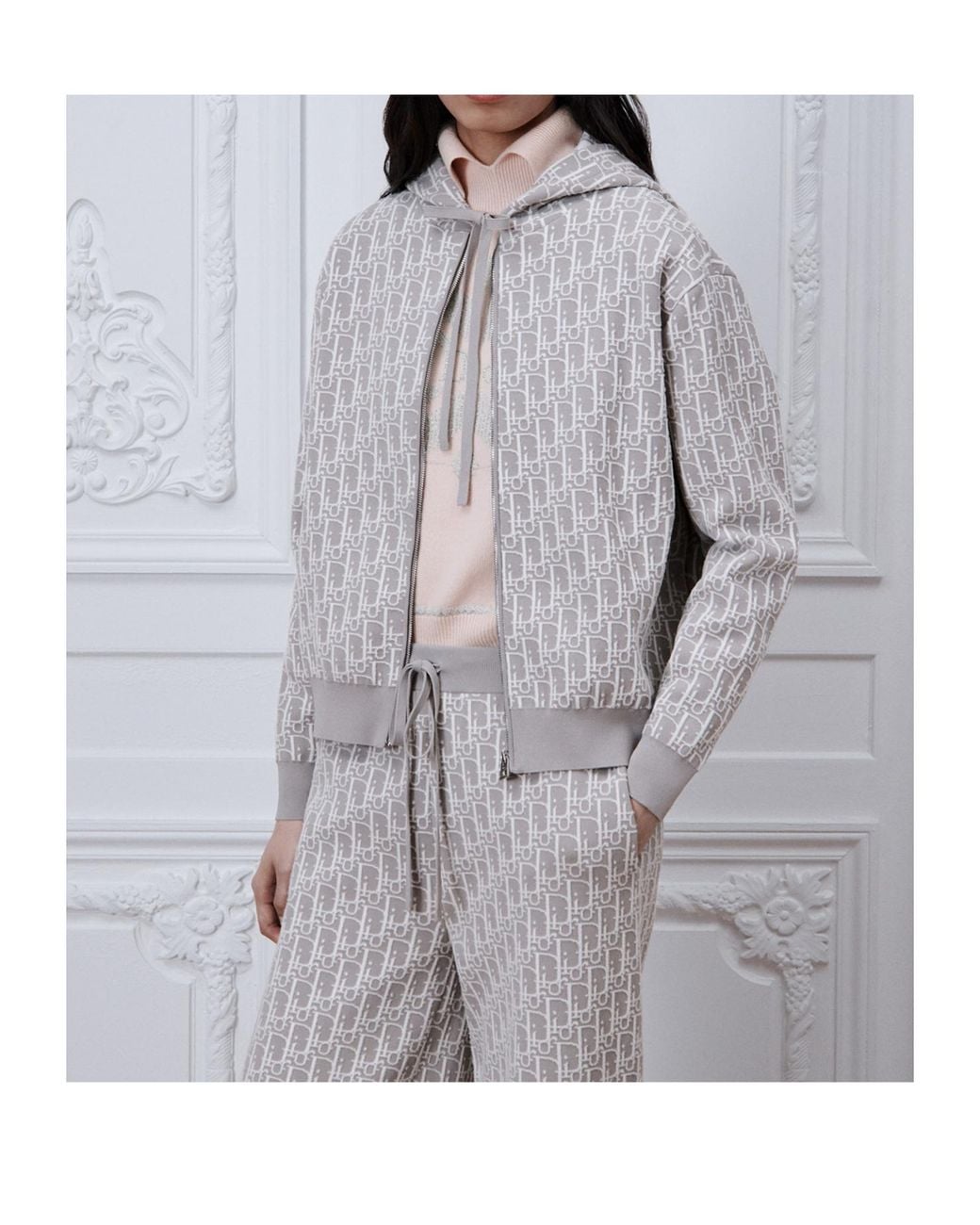 Dior Gray Alps Oblique Hooded Zipped Cardigan