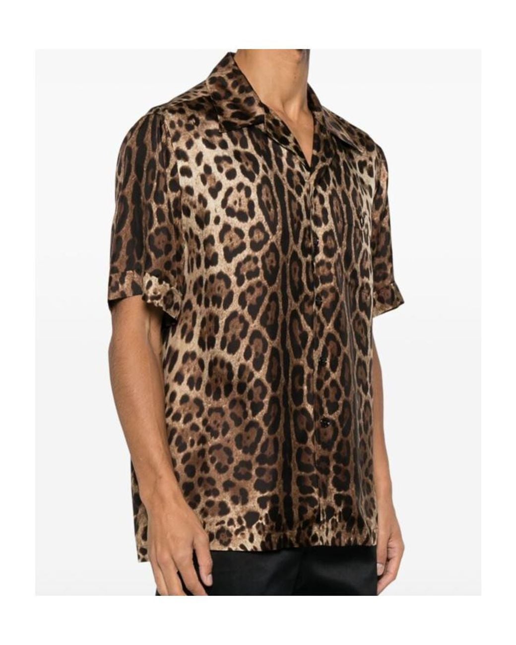 Dolce & Gabbana Brown Leopard Printed Bowling Shirt for men