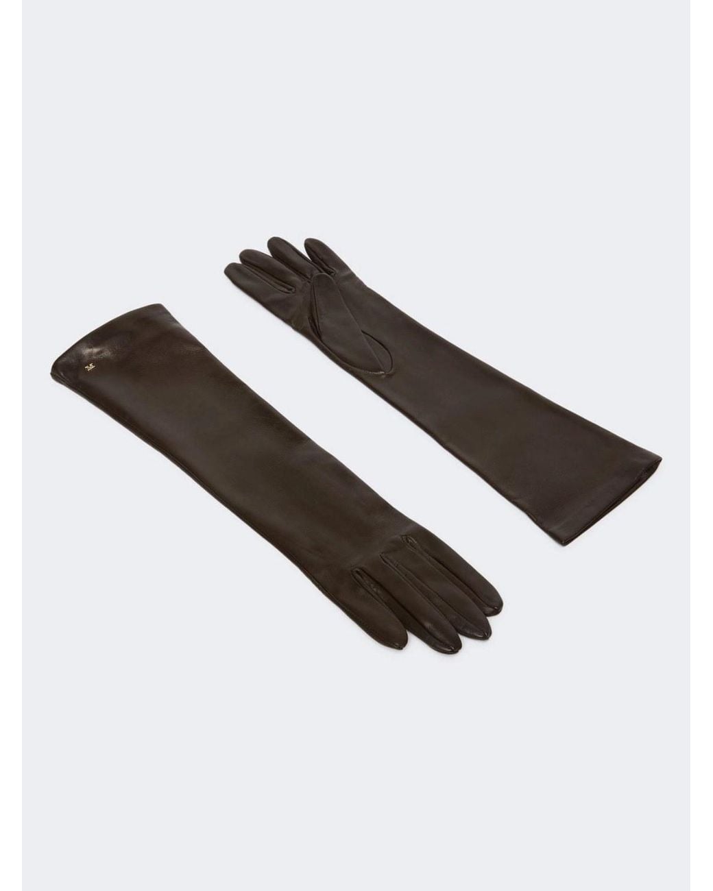 Max Mara Brown Afidee Logo-Plaque Leather Gloves