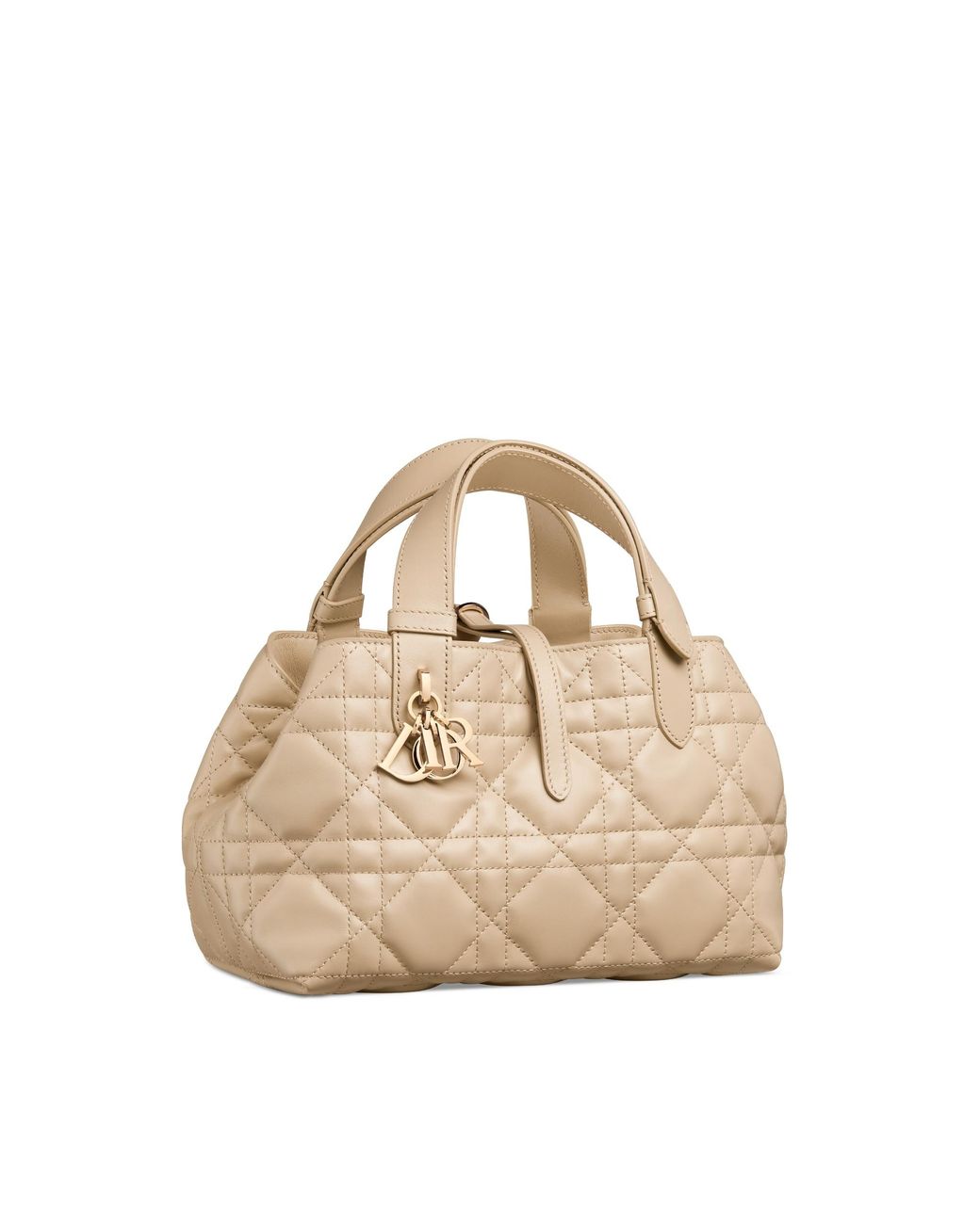 Dior Natural Small Toujours Bag