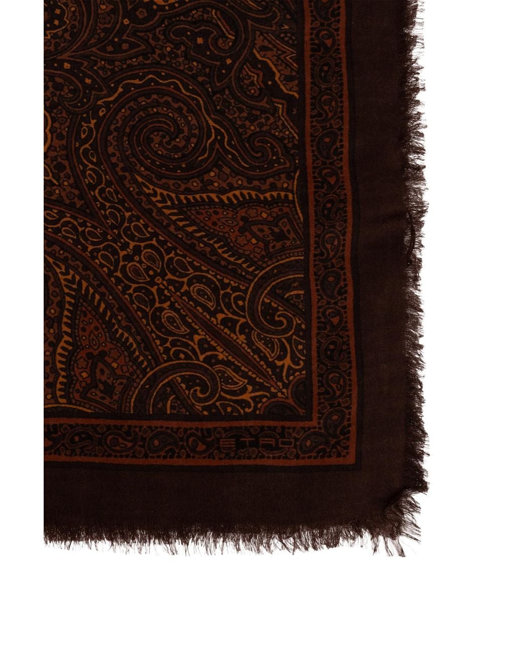 Etro Brown Frayed Paisley Scarf