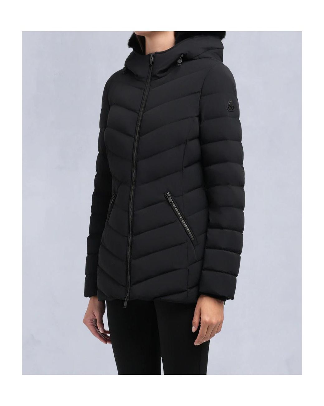 Moose Knuckles Black Roselawn 5 Hooded Down Jacket