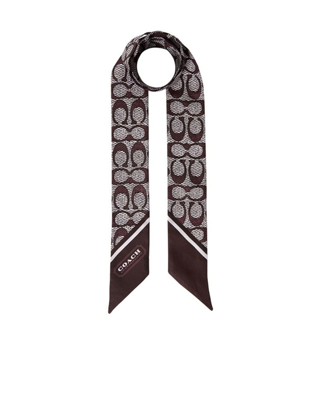 COACH White Pointed Silk Scarf
