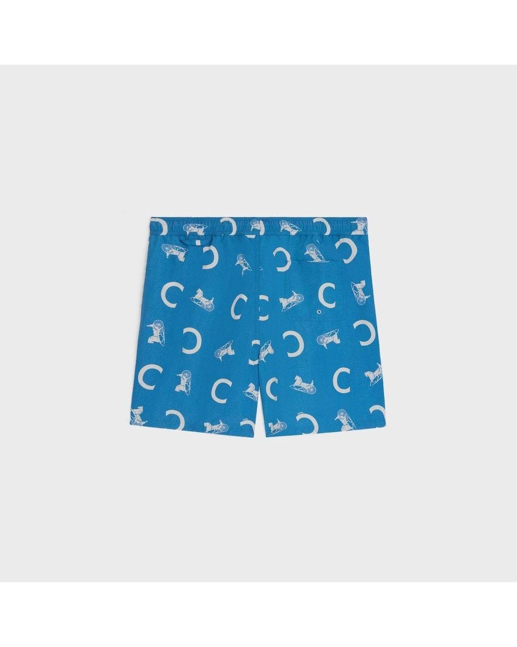 Céline Blue Swimsuit Shorts for men