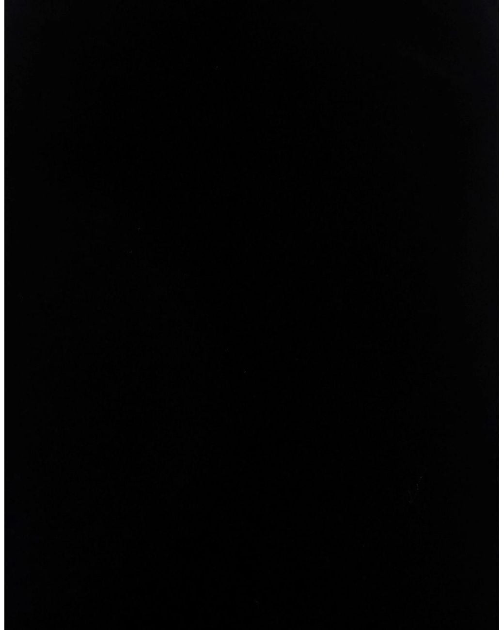 Max Mara Black Long Skirts