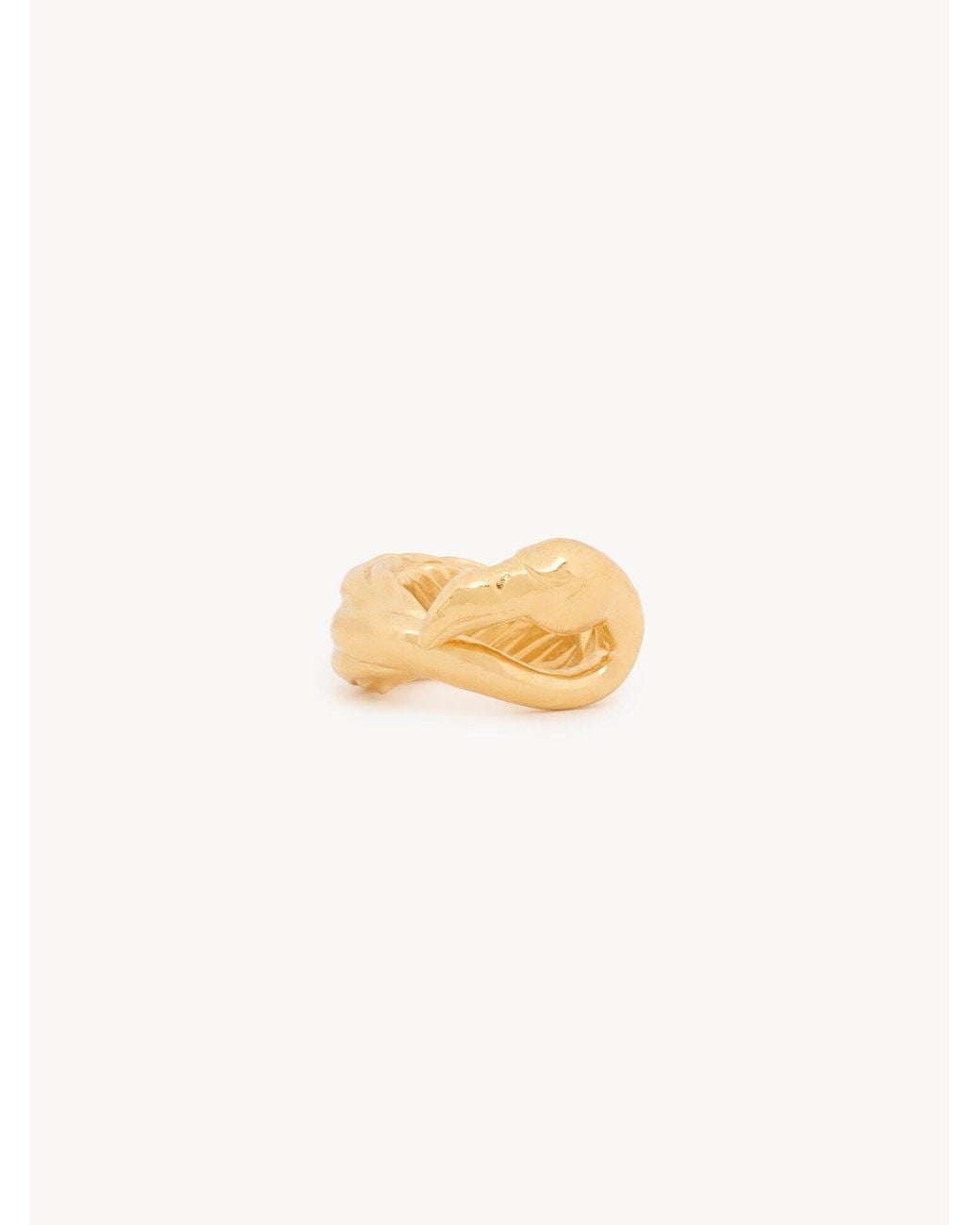 Chloé Metallic Chloé Tropicus Sculpted Ring