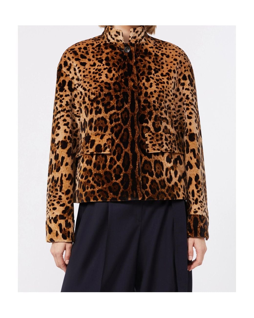 Max Mara Brown マックスマーラ スタジオ ムステドロ クロップド アニマルプリントジャケット