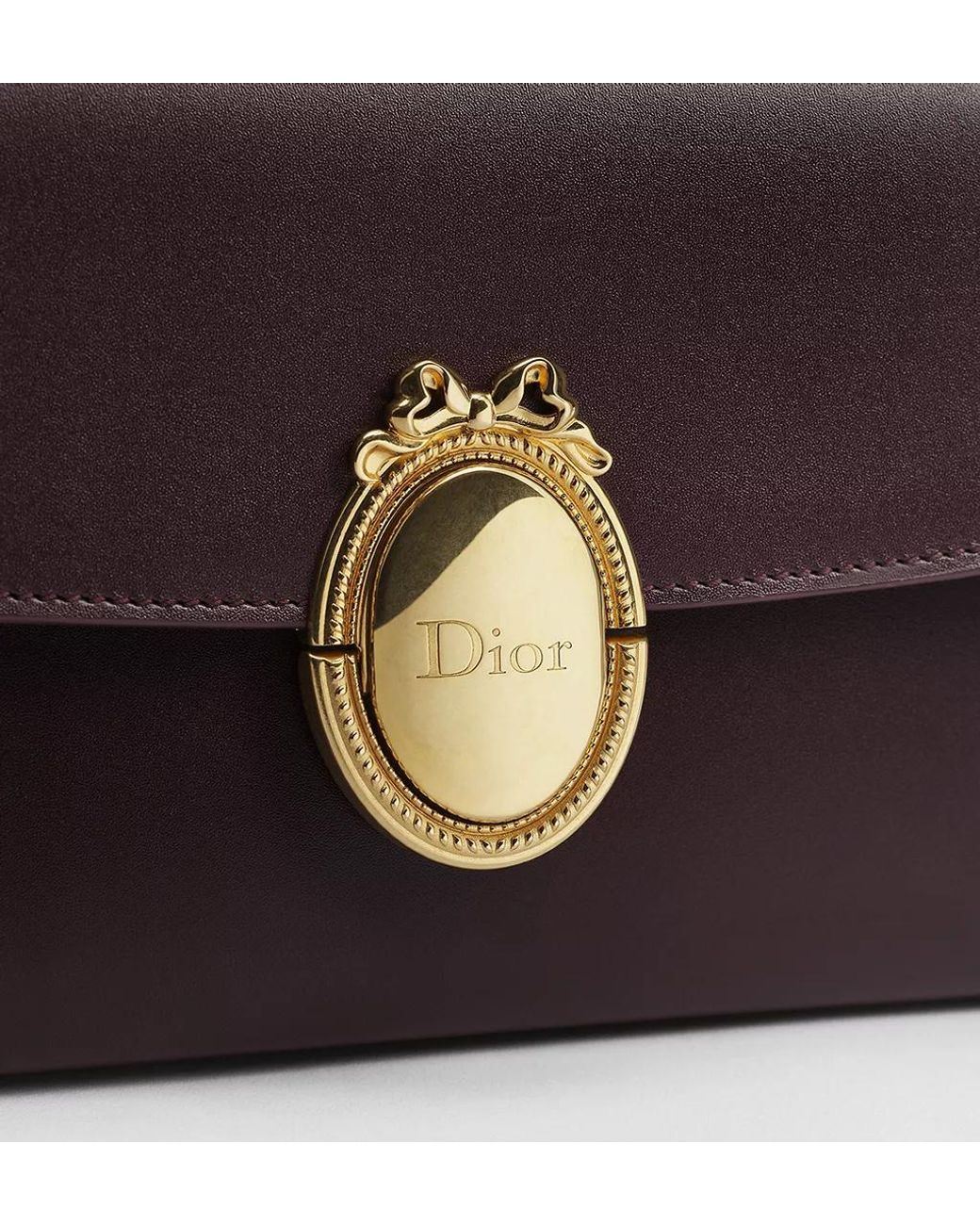 Dior Brown Médaillon Pouch