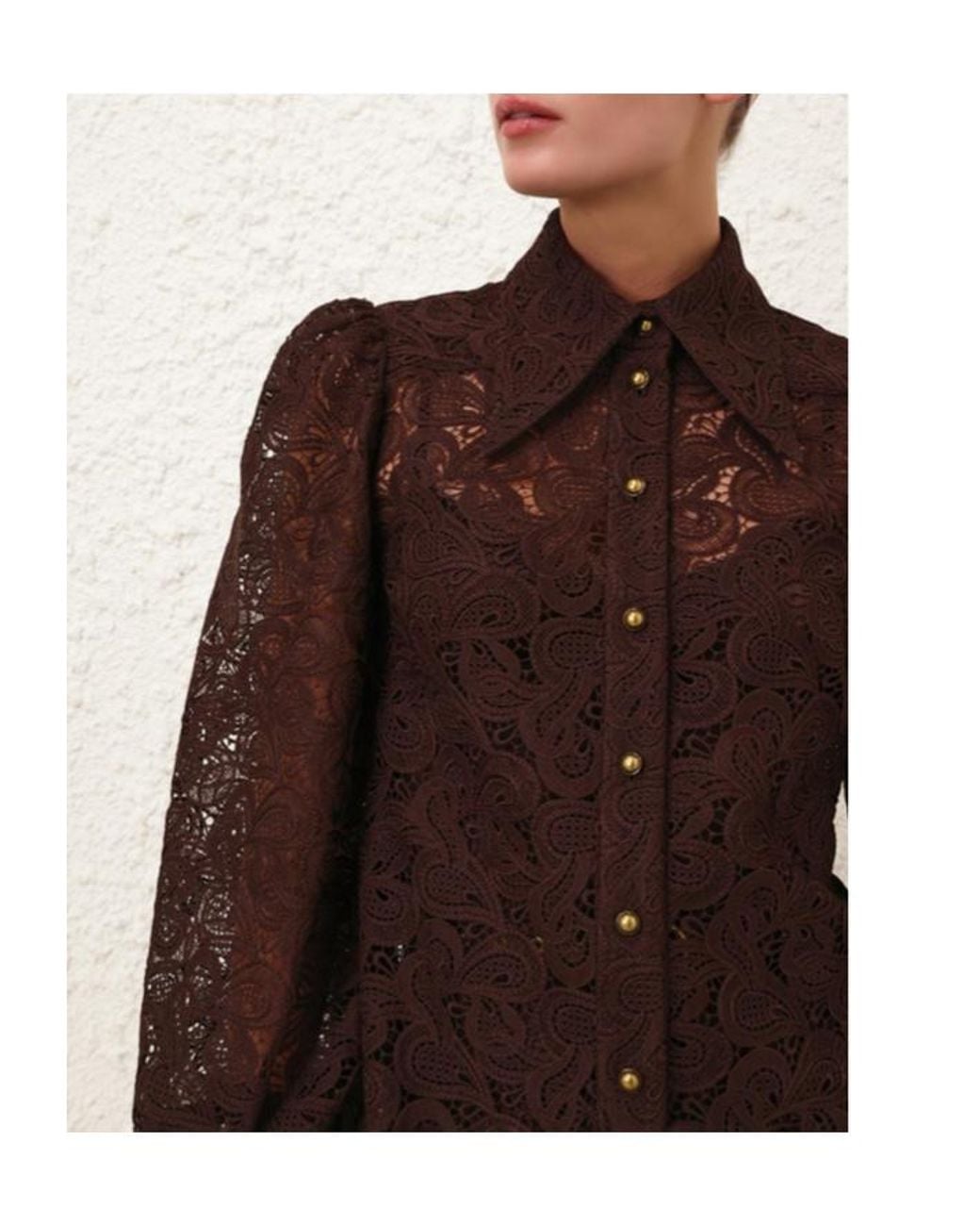 Zimmermann Brown Illustration Lace Blouse