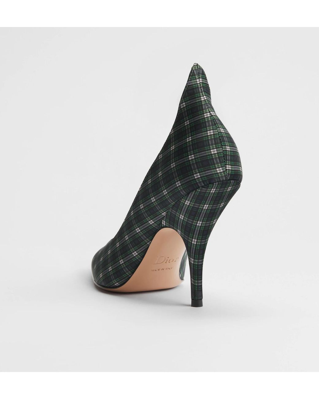 Dior Multicolor Wing Pump