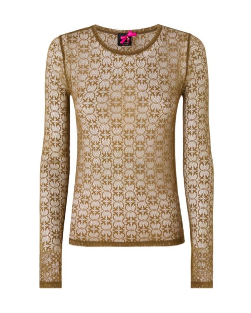 Pinko Brown Sheer Patterned Knitted Top