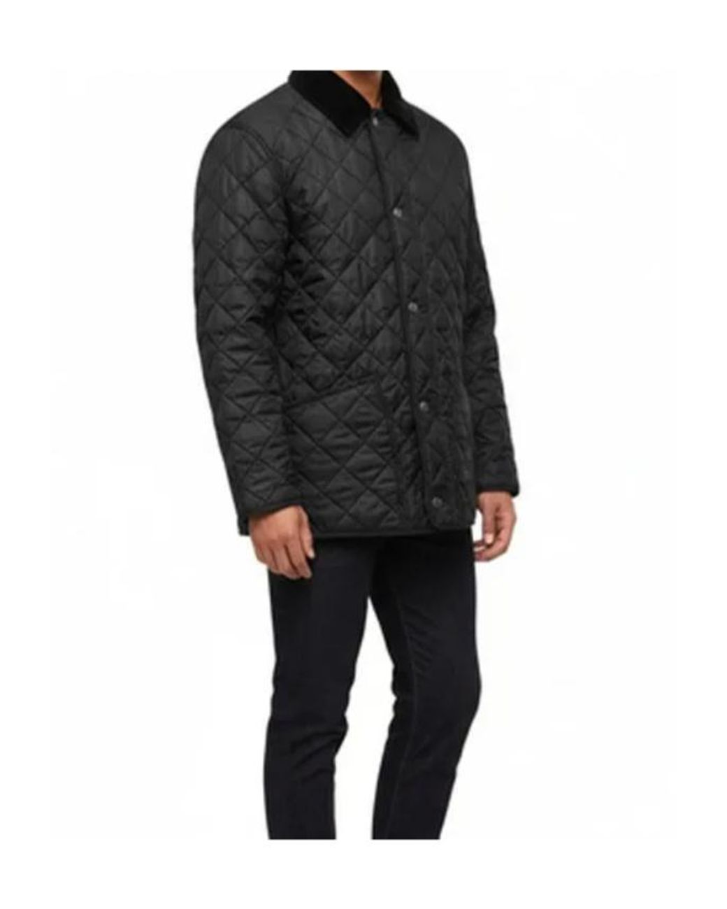 Burberry Black Long-Sleeved Cotton-Padded Jacket for men
