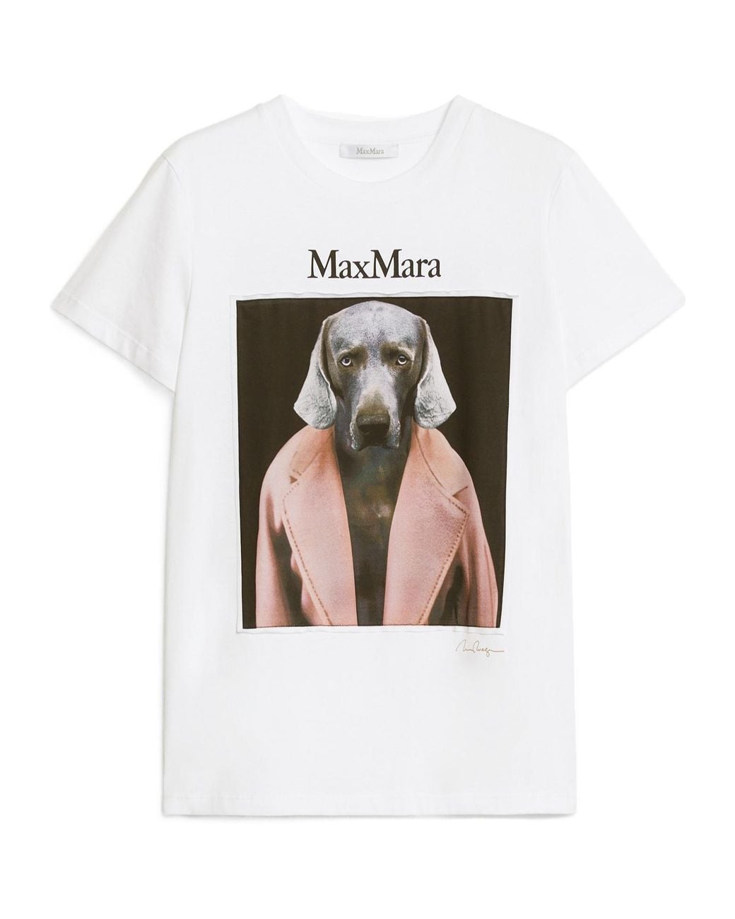 Max Mara White Cipria Graphic Printed Crewneck T-Shirt