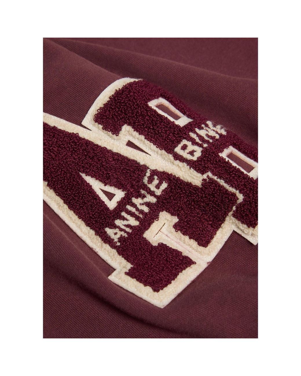 Anine Bing Purple Pure Cotton Sweatshirt