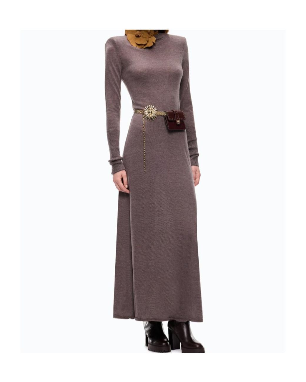 Pinko Brown Turtleneck Dress