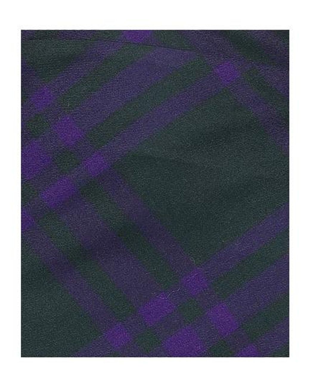 Burberry Blue Plaid Pleated Skirt