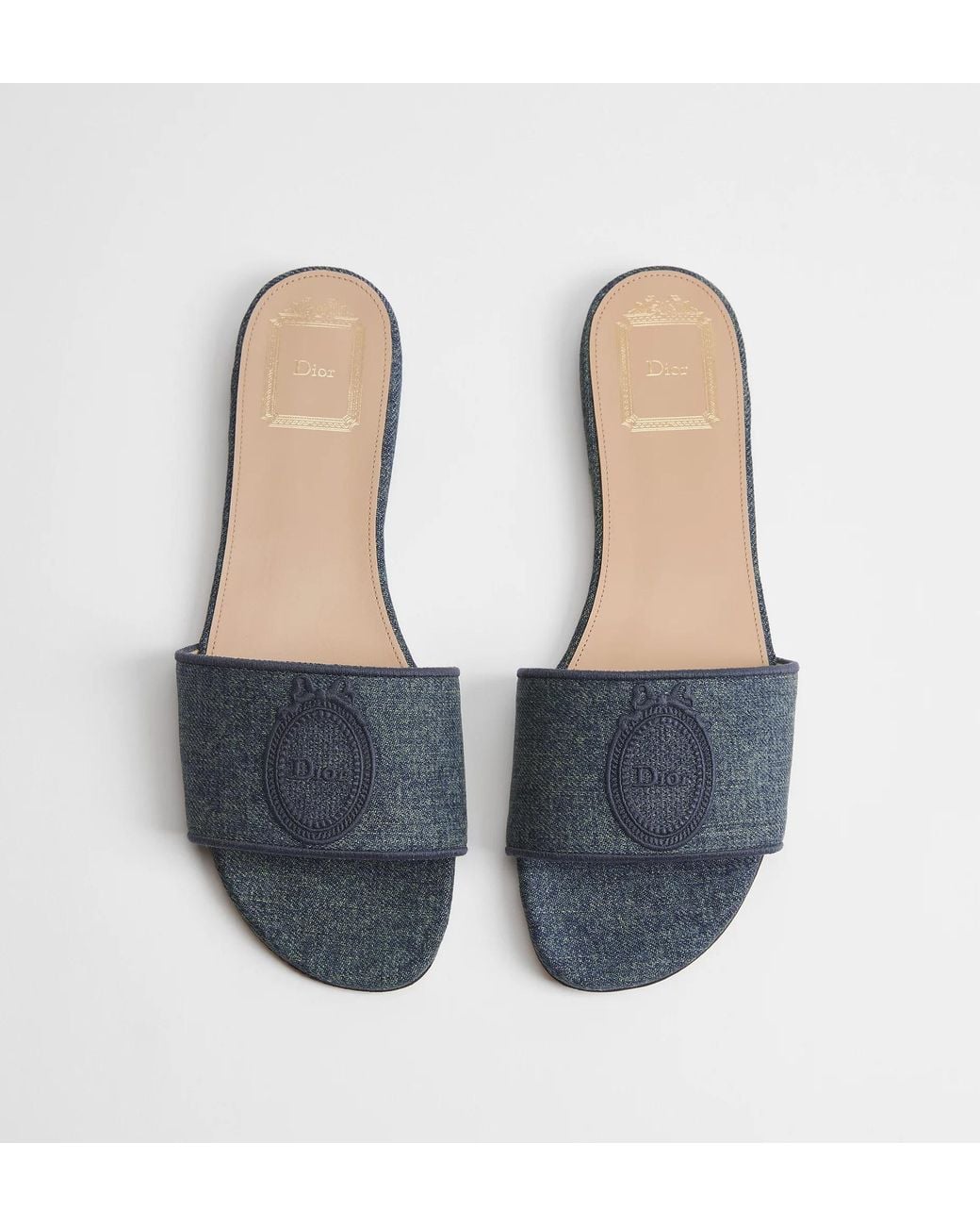 Dior Blue Médaillon Slide