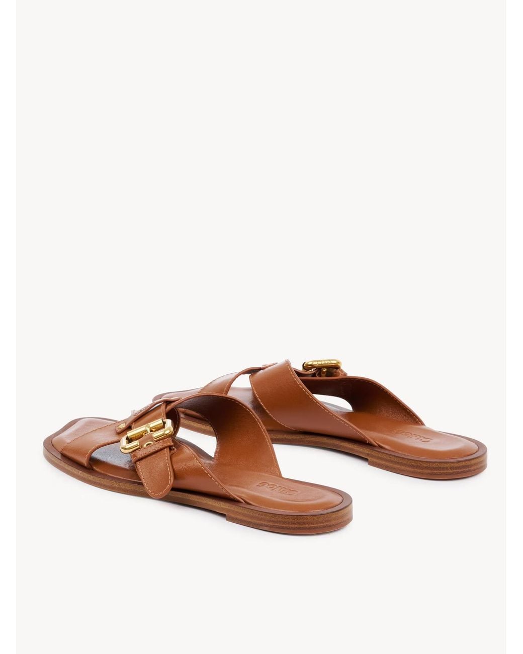 Chloé Brown Nil Slide