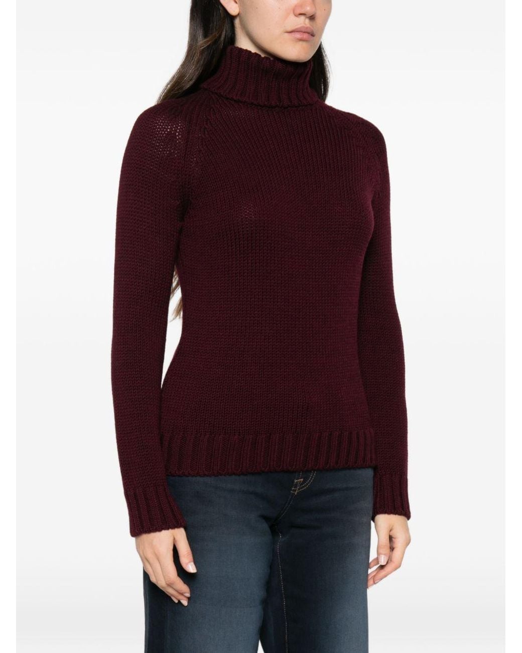 Baserange Purple Ribbed Roll-Neck Sweater