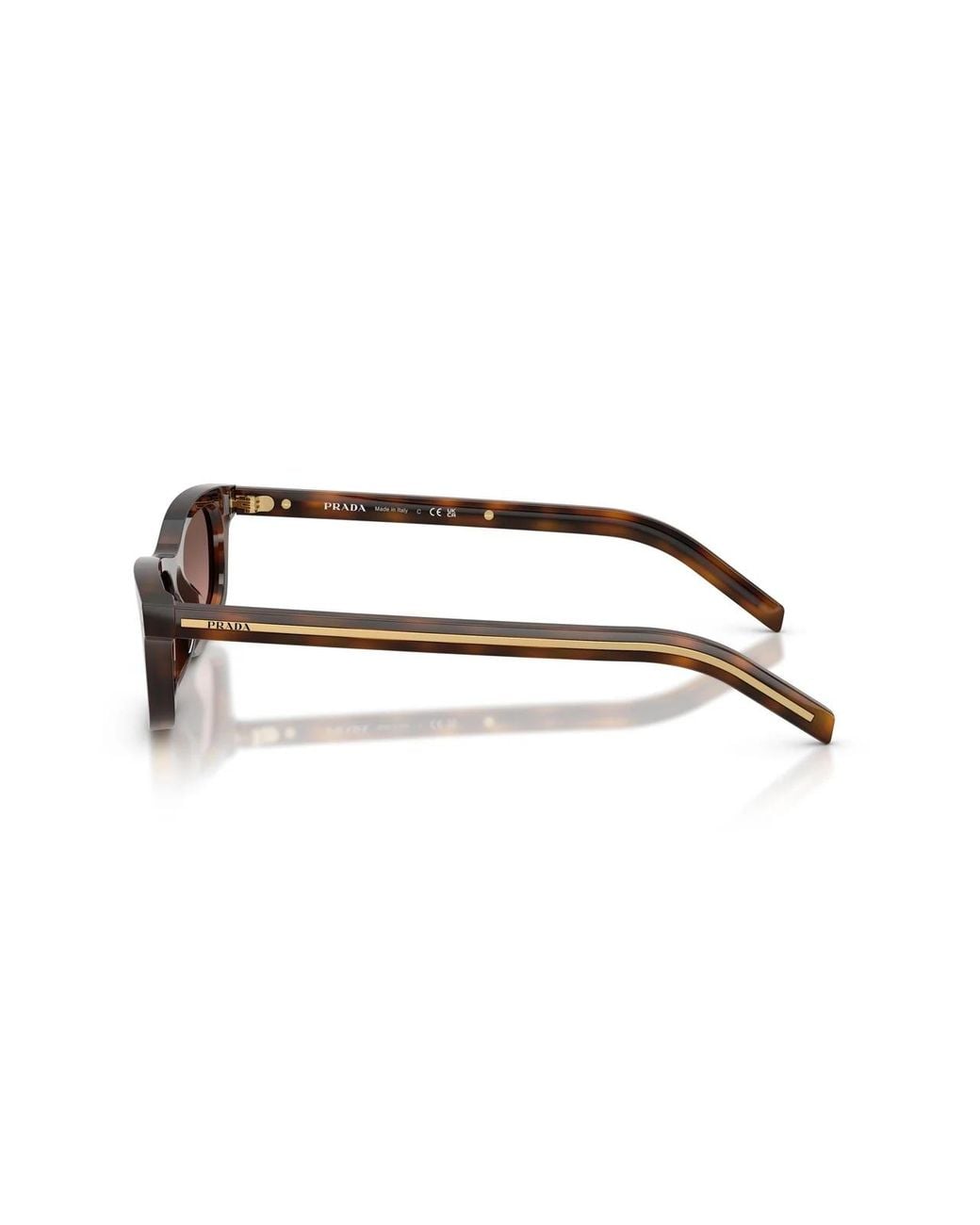 Prada Multicolor Full-Rim Sunglasses