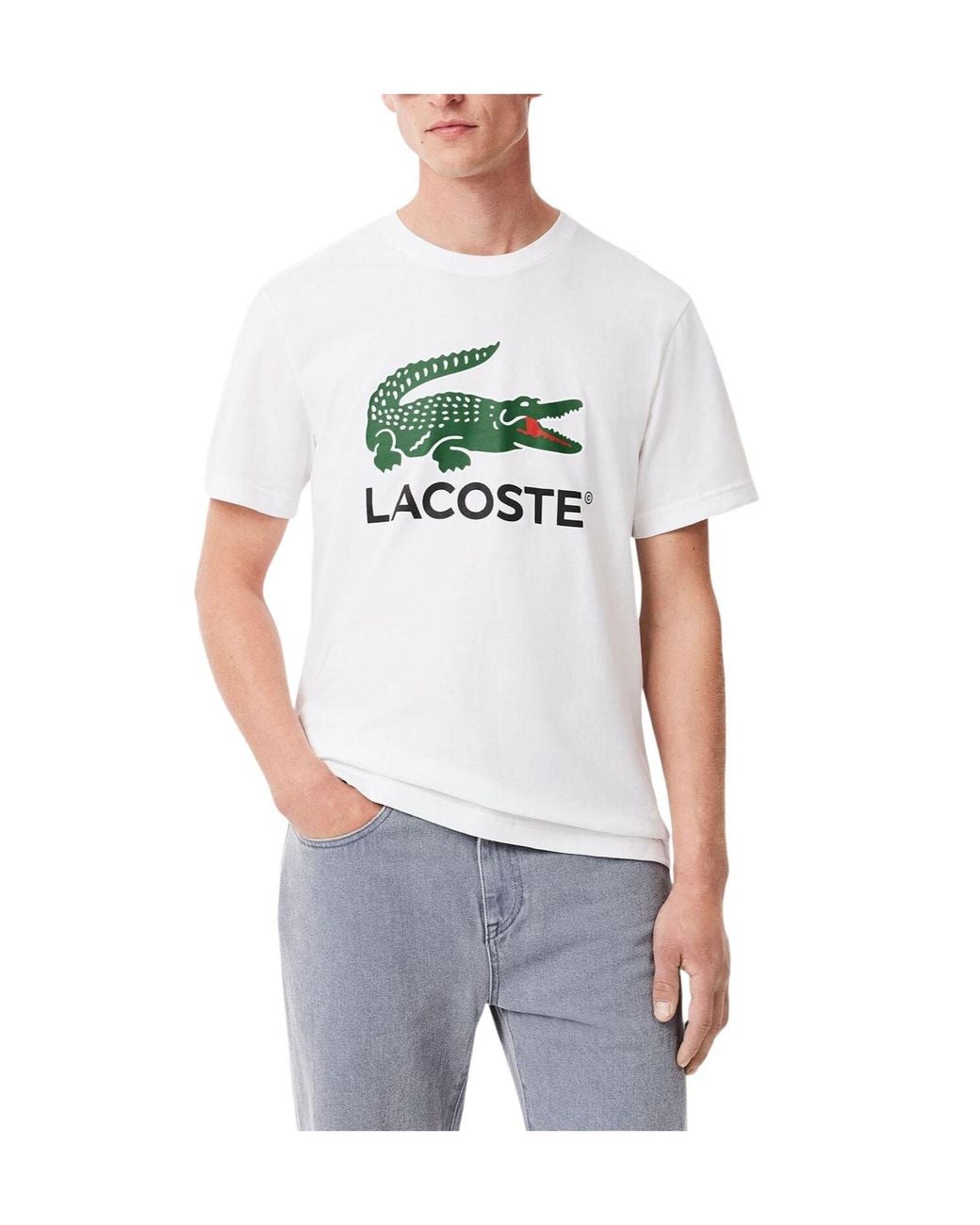 Lacoste White Cotton Shortsleeve Tshirt for men