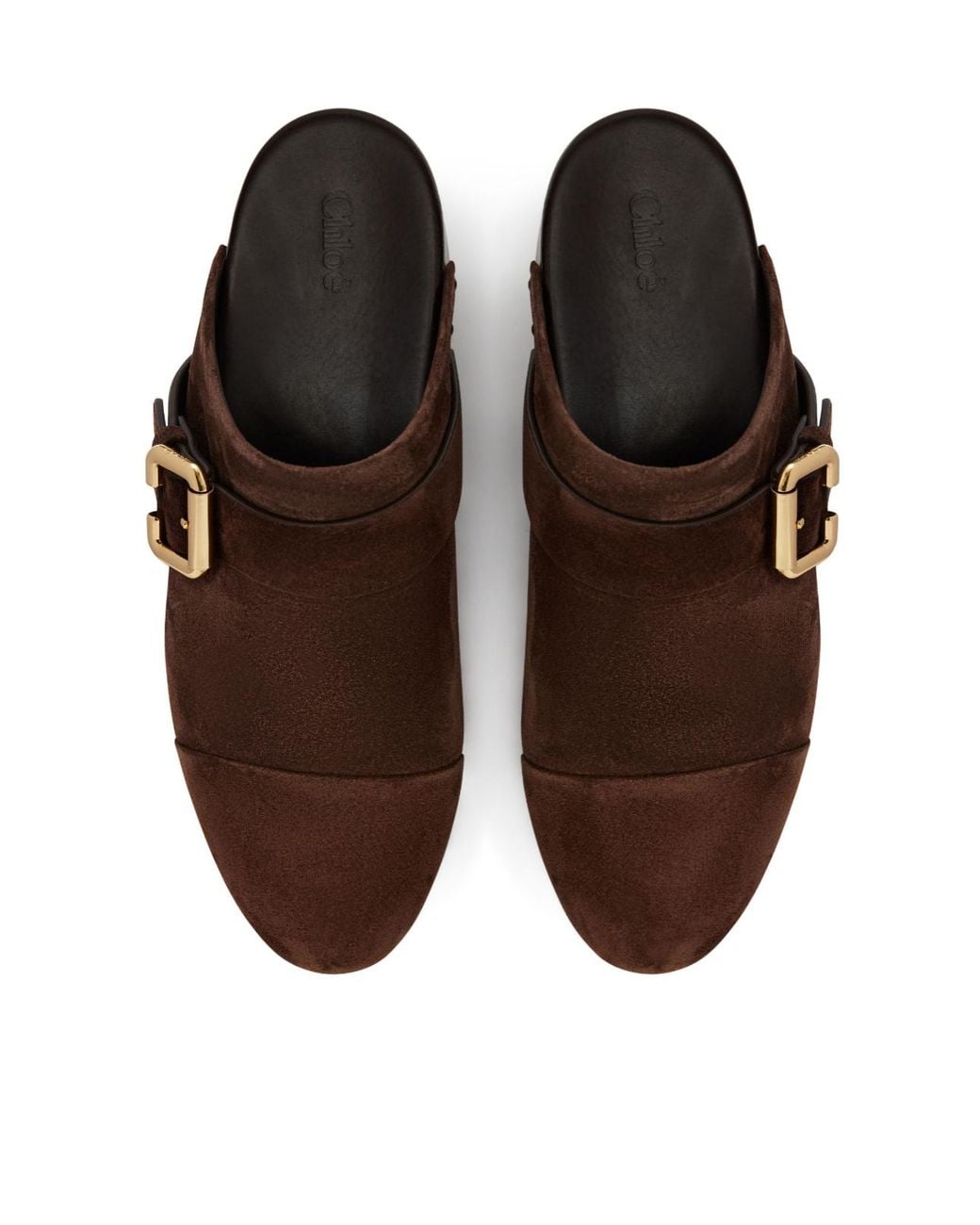 Chloé Brown Rivet