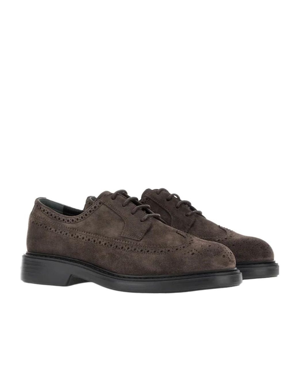 Hogan Brown H704 Brogue Derby Shoes for men