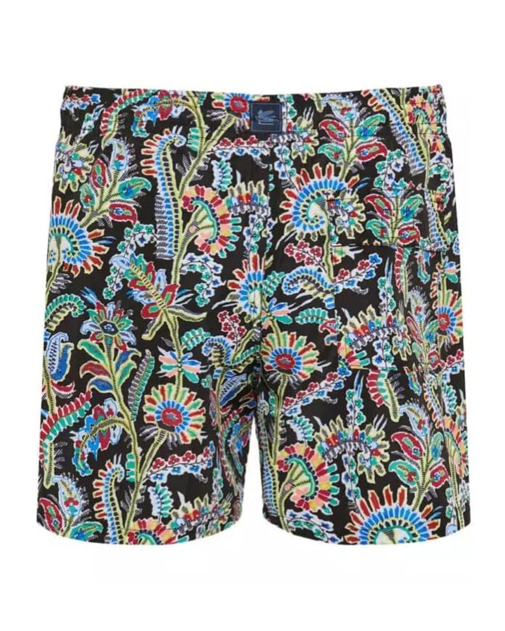 Etro Green Pattern Swimming Trunks for men