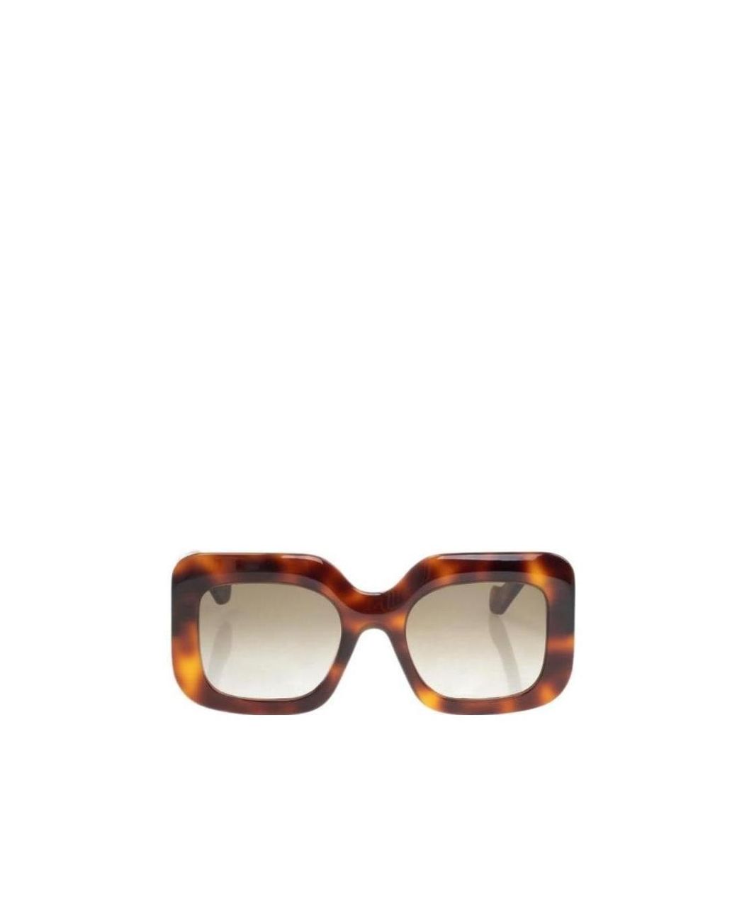 Loewe Multicolor Ultra-Large Square Sunglasses