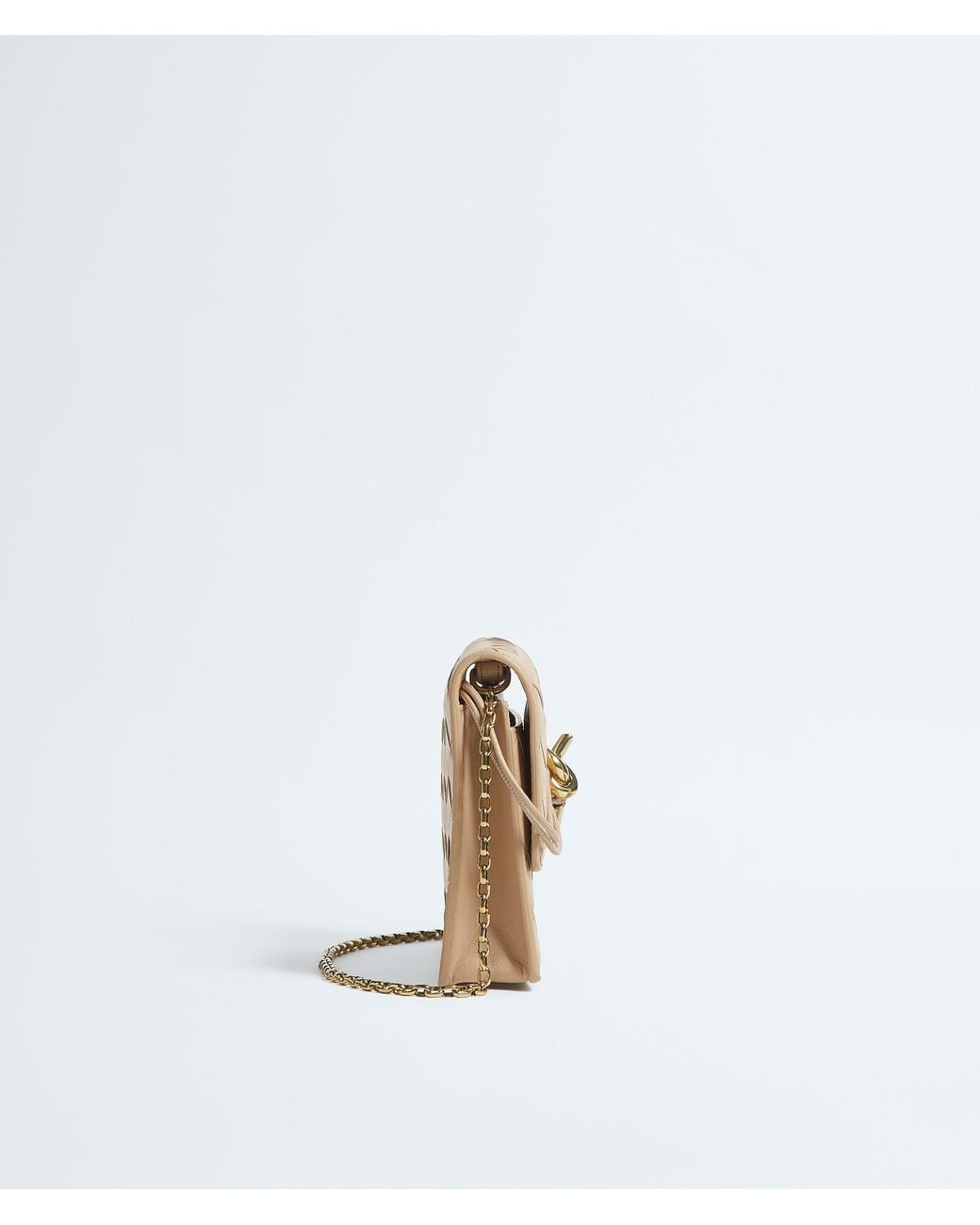 Bottega Veneta Natural Andiamo Pouch On Chain
