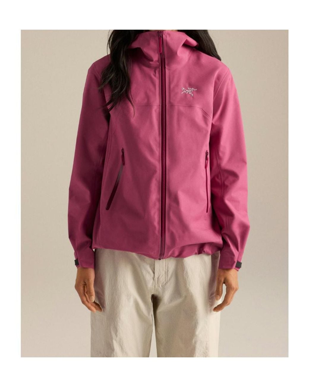 Arc'teryx Purple Beta Jacket