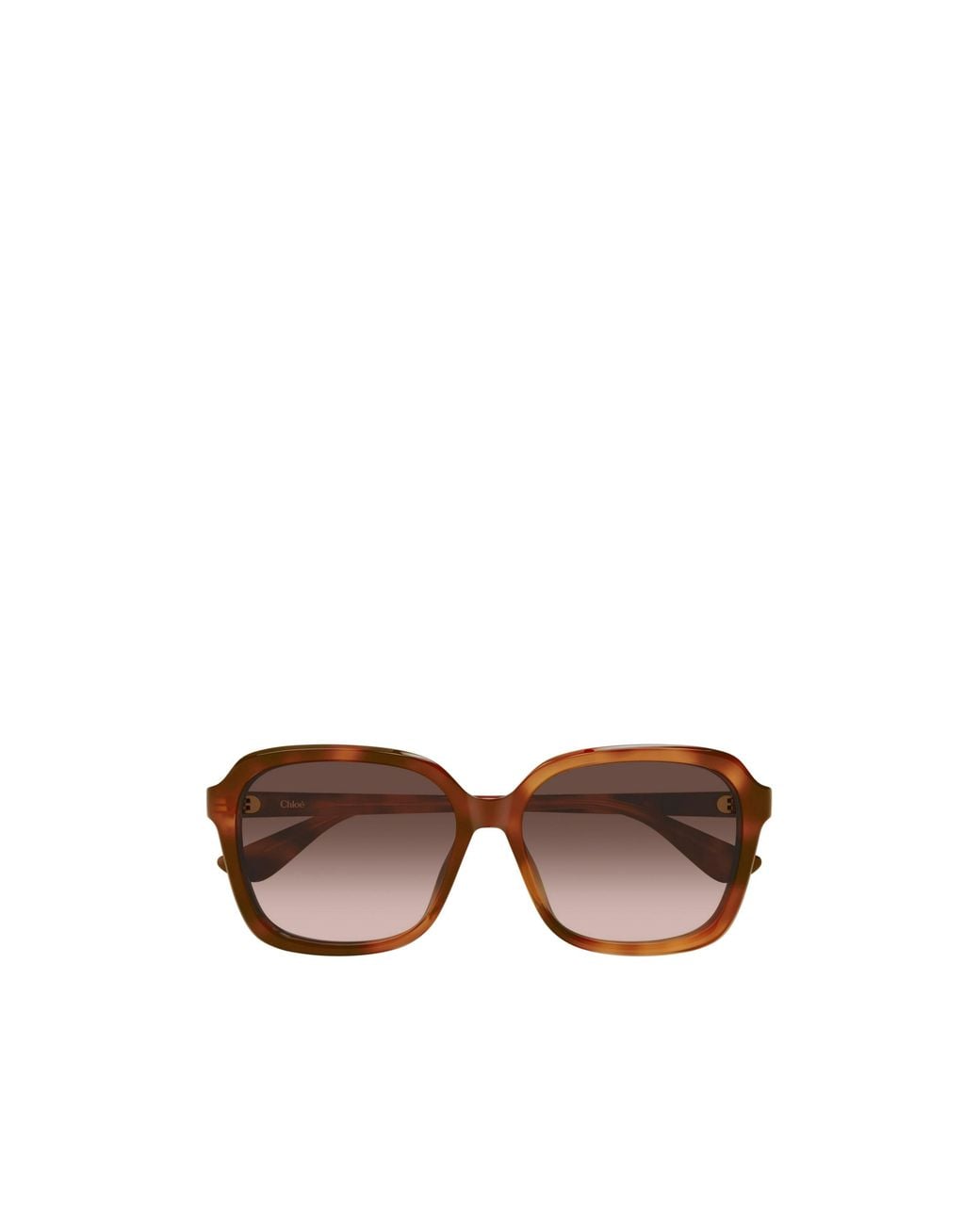 Chloé Brown Chloé Eyewear Oversized Square Sunglasses