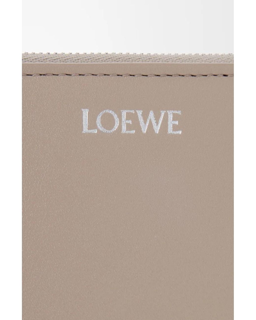 Loewe Multicolor Zipped Coin Purse
